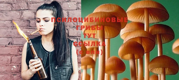 стаф Пролетарск