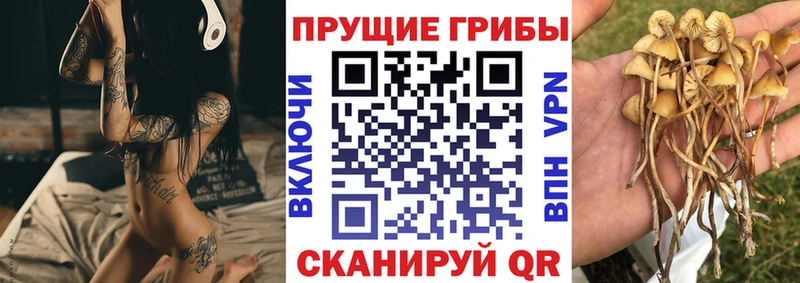 Купить  Константиновск  Галлюциногенные грибы GOLDEN TEACHER 